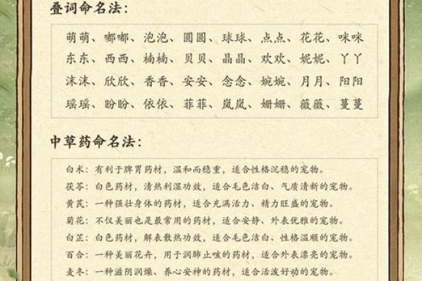 宠物名字推荐及寓意，一、飞飞/蓝宝，活泼灵动，萌趣可爱。，二、萌萌/心心，温馨治愈，表达爱意。，三、志宝/安琪，有信念的宝宝；家中的天使。-方知甜
