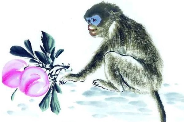 猴，不三不四的生肖代表-方知甜