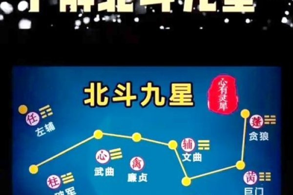 星座查询，探秘2024年新星命运与星图-方知甜