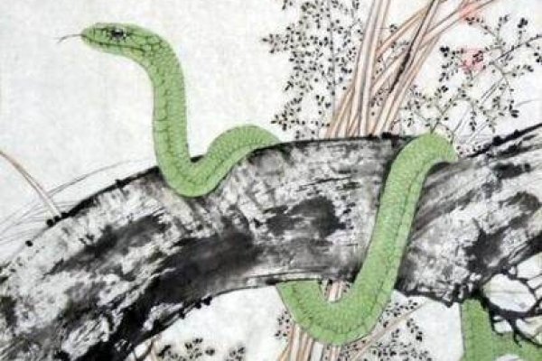 贪婪成性,生肖猪蛇难逃干系-方知甜