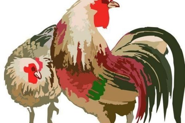 丹凤朝阳指的是鸡生肖-方知甜