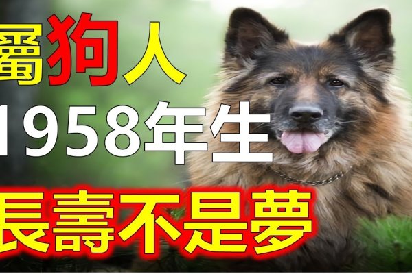 属狗的人何时满十八岁-方知甜