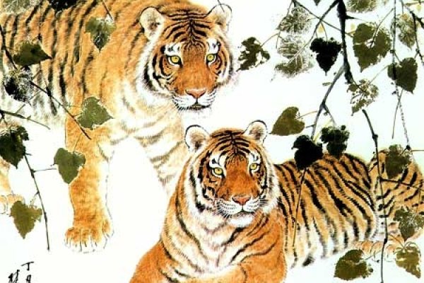 属羊的人2013年运程，温顺中见机遇，稳健中求发展-方知甜