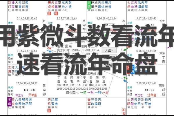 紫微斗数流年排盘，精准时辰，洞悉命运-方知甜