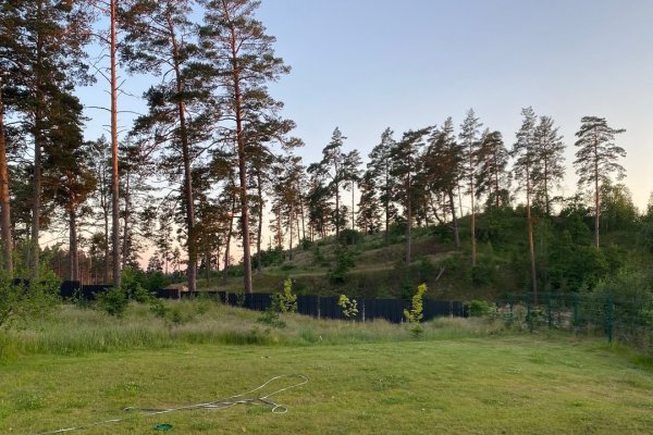 鹤乡的午后闲聊-方知甜