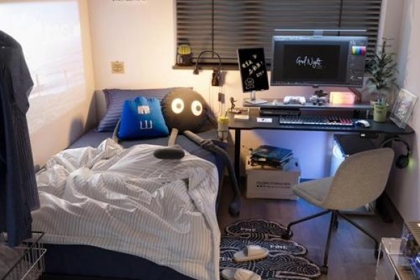 男孩的卧室，梦想与现实的交汇处-方知甜