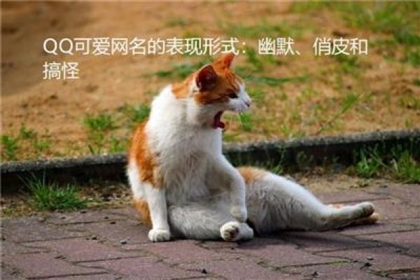 幽默的QQ名字，打造个性，笑出风采-方知甜