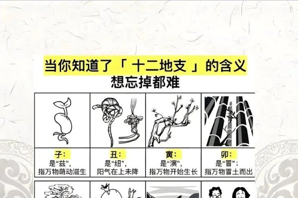 12地支，中华智慧与自然哲学的交融-方知甜