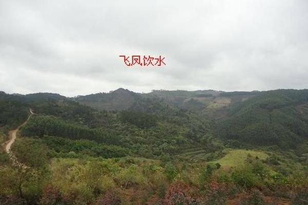 祖坟风水，人丁兴旺的考量与布局原则-方知甜