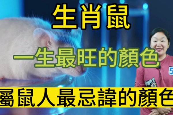 鼠性格低调暗无天日-方知甜