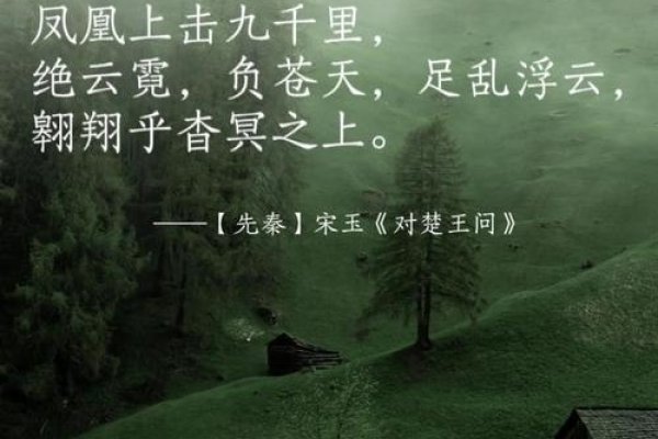 凤归故里，四海凰随，网络热语背后的文化意蕴与电竞预言-方知甜