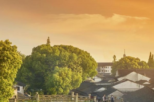 绍兴婚介有特色，不同相亲地体验各异。-方知甜