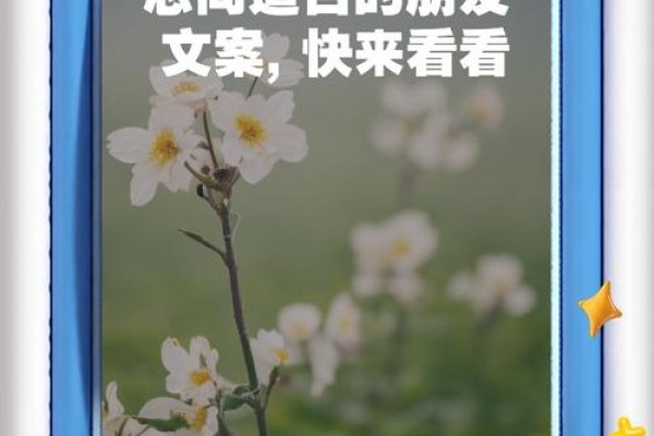 廊坊交友，拓宽社交圈，遇见志同道合的朋友-方知甜