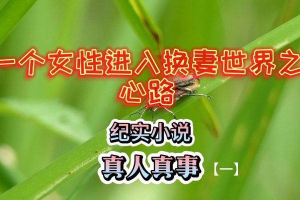 肥西交友，一条连接心灵的星光之路-方知甜