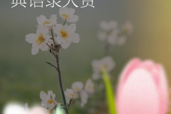 德惠交友，寻找心灵归处-方知甜