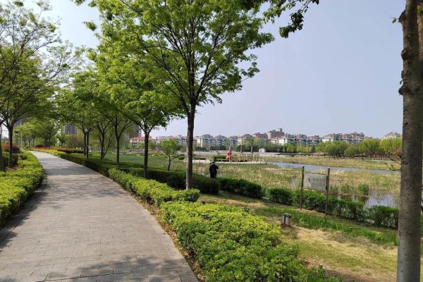 莱西交友，在美丽小城编织温暖的人际网-方知甜