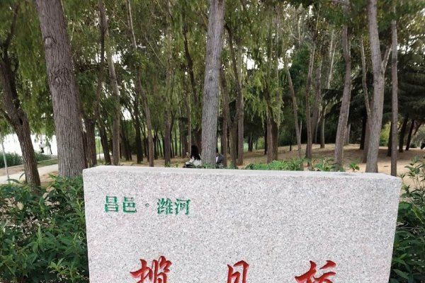 昌邑交友，共筑温馨社交圈的桥梁-方知甜