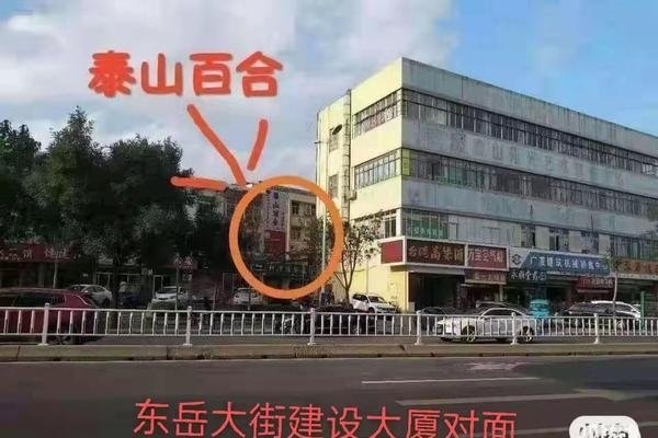 泰州交友，探索城市中的温馨邂逅-方知甜