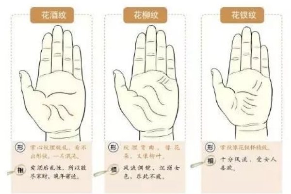 左掌看命运，右掌察未来-方知甜