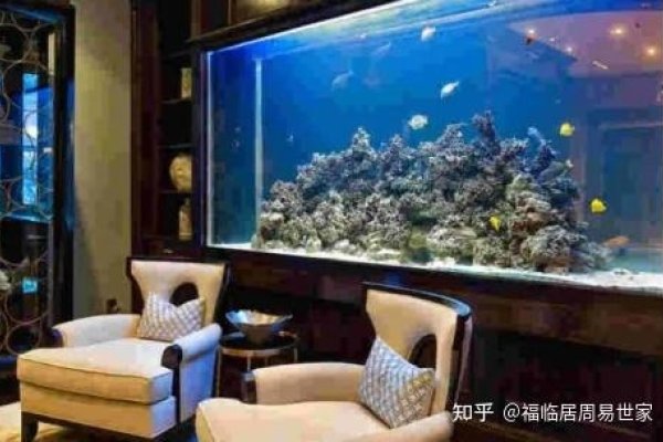 鱼缸可以对着入户门摆放吗？-方知甜