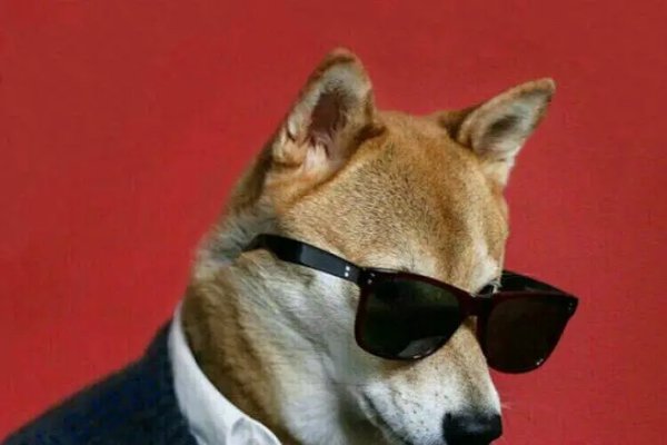 狗狗另类昵称，个性、洋气与趣味并存-方知甜