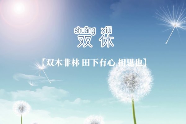 微信名称，个性与社交的微妙桥梁-方知甜