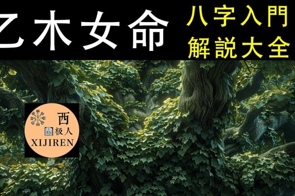 杨柳木命女性，性格解析与情感建议-方知甜