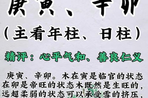 松柏木命缺水，任芳墨、任津辉等名字寓意吉祥。-方知甜