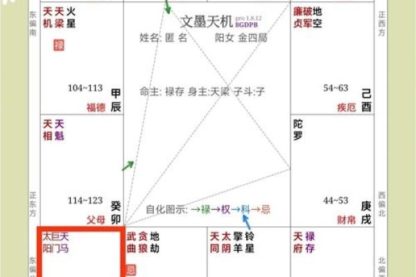 紫薇命盘解析，中年财运亨通，晚年名利双收-方知甜