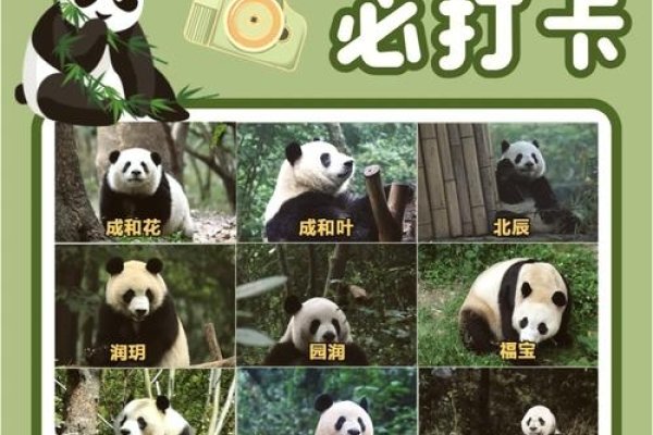 熊猫名字，多元传承，共谱文化传承华章-方知甜
