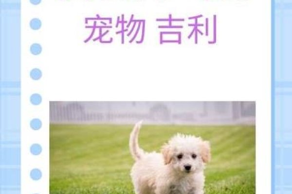 小狗名字背后的故事，从小白到幸运星-方知甜