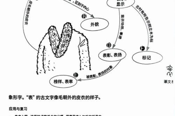 探索名字测分的奥秘，从传统文化到现代科技的演变-方知甜