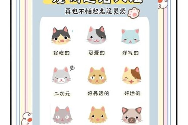 萌宠名之记，如何为可爱宝贝打造专属名字-方知甜