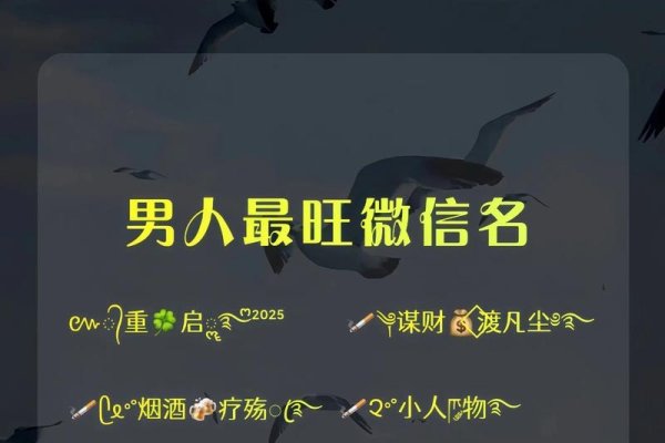 微信名字大全,10个独特且好记的男微信名字灵感-方知甜
