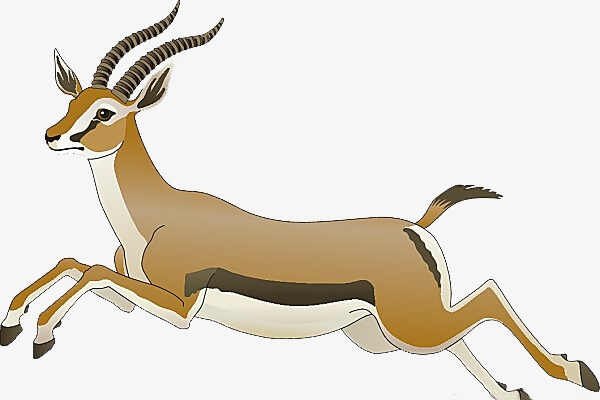 84年属鼠女性选首饰，金属更旺运，避马兔羊生肖-方知甜