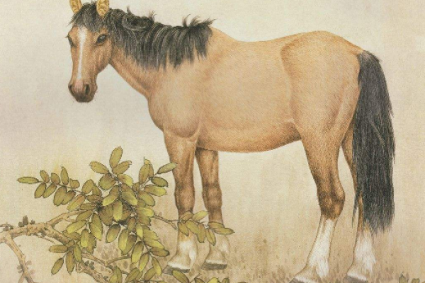 90年属马的与1997年生牛的相处之道-方知甜