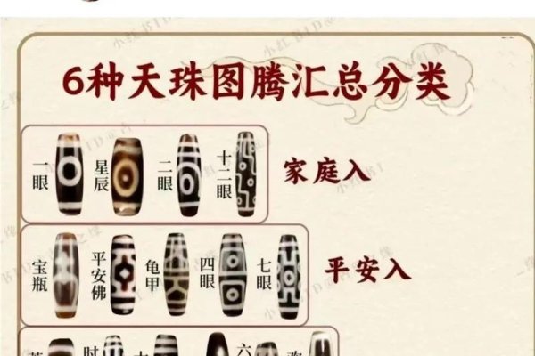 探索七龙珠名字背后的奥秘与寓意-方知甜