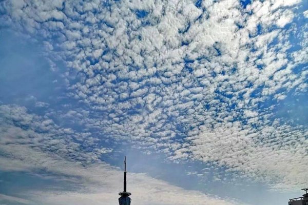 岷县情缘，一场跨越地域的征婚之旅-方知甜