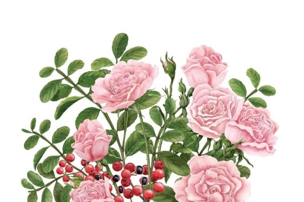 甘心情愿，在生肖的温情脉脉中，绽放独特生命光彩-方知甜