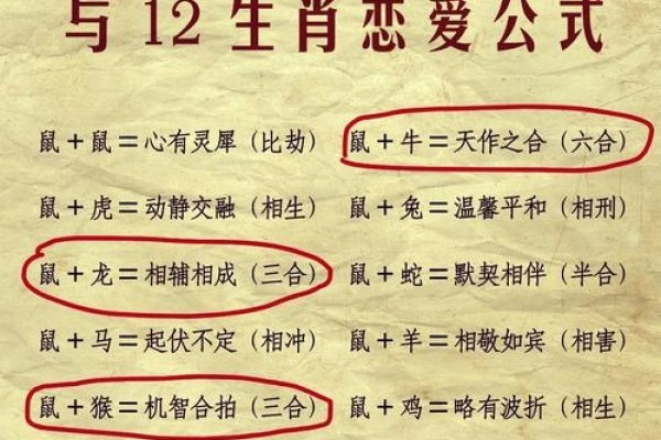 属鼠人婚姻与命运，贵人助力，情感需经营-方知甜