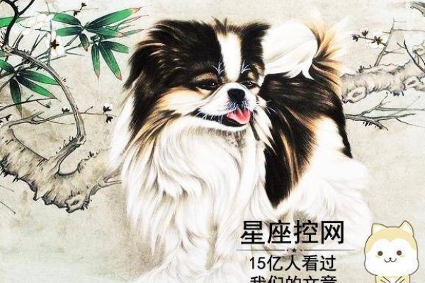 属狗人立春禁忌，传统智慧与现代生活的和谐共融-方知甜