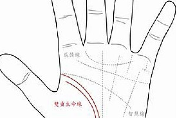 探索手相中的生命线，解读命运的微妙线索-方知甜