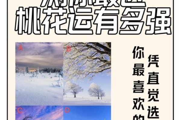 浅浅试探，桃花运已现-方知甜