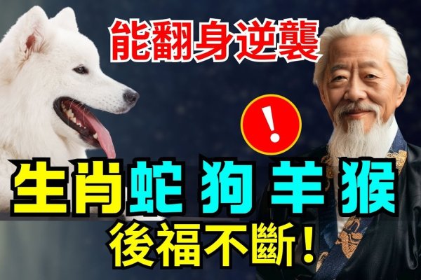 归心似箭，生肖之谜——羊马双解-方知甜