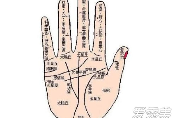 揭秘通关手手相，解读命运之门的钥匙-方知甜