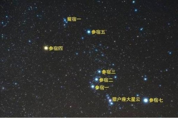 探索天顶星座，夜空中的神秘导航-方知甜
