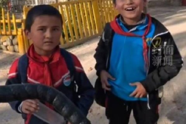 新疆同志聊天室，心灵共享的温暖港湾-方知甜