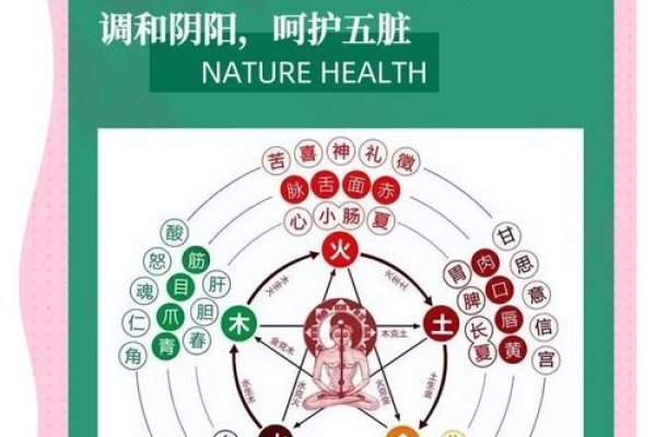 圣宣五行，探索古老智慧与现代健康的和谐融合-方知甜