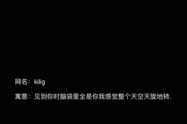 狂拽网名，定义你的独特与格调-方知甜