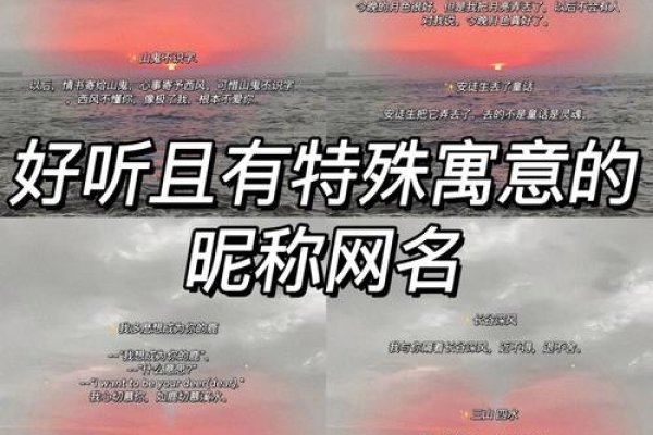 揭秘网名背后的故事，网名查询的趣味与意义-方知甜